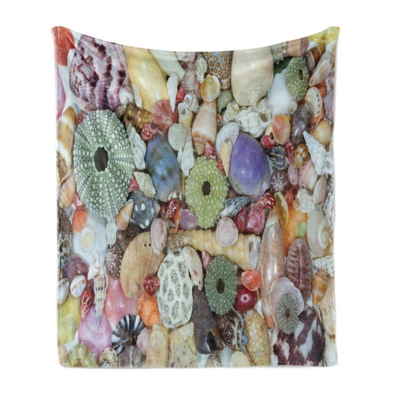 Shell Soft Flannel Fleece Throw Blanket, Closeup Photo of Various Colorful Big Little Seashells Collecting from Coast Image, Cozy Plush for Indoor and Outdoor Use, 50" x 70", Multicolor, by Ambesonne