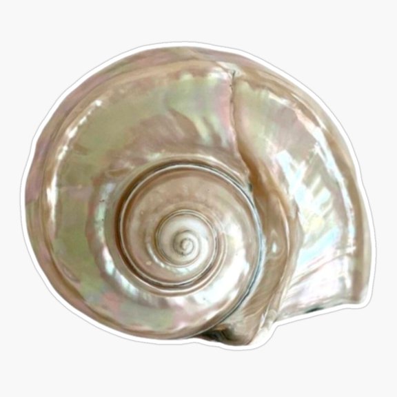 Shell Sticker