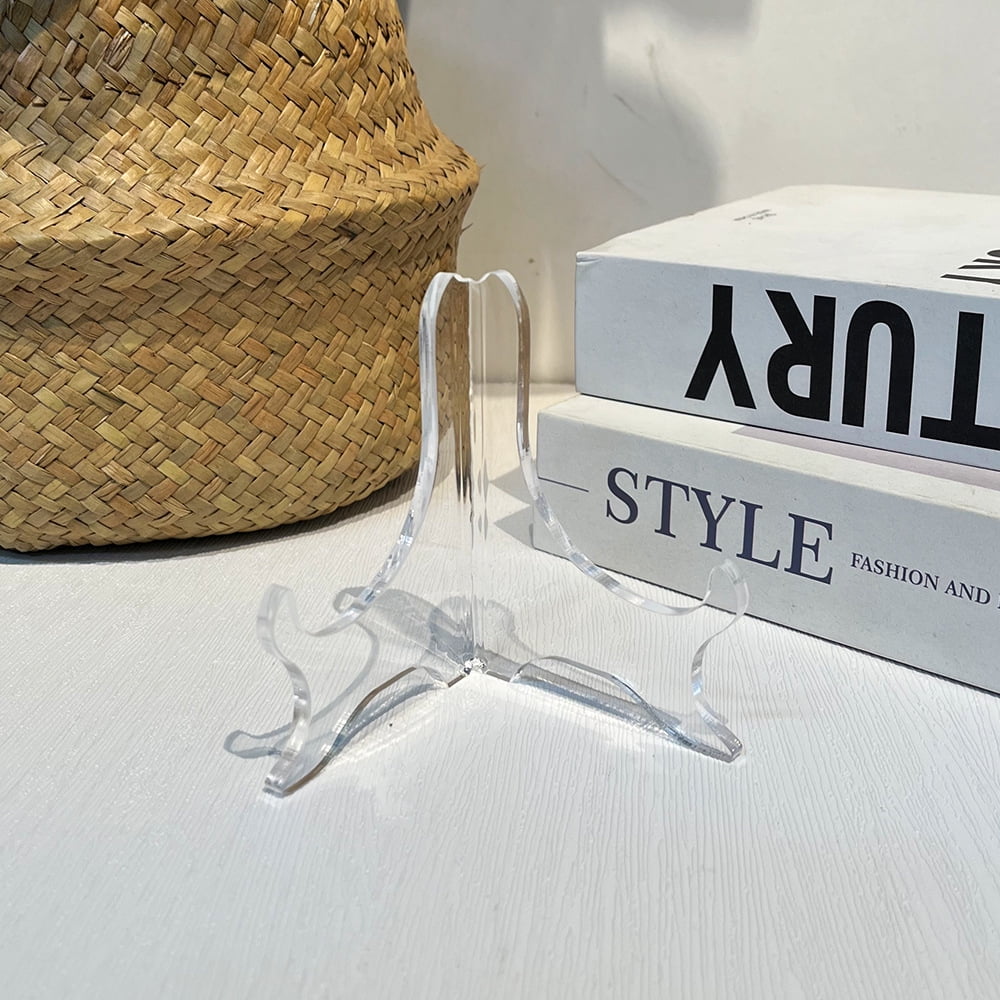 Shell Storage Box Mini Conch Micro Shell Specimen Collection Height ...