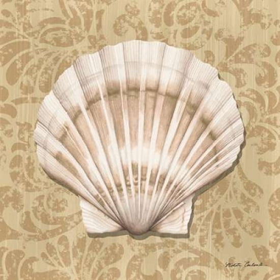 Shell Study II Canvas Art - Nikita Coulombe (24 x 24)