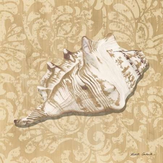 Shell Study III Canvas Art - Nikita Coulombe (24 x 24)