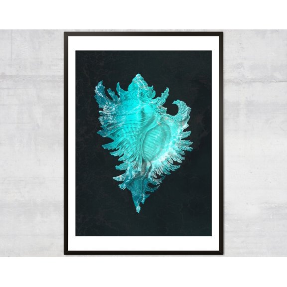 Shell Wall Art, Blue Nautical Decor, Minimal Coastal Wall Decor Wall Art, Modern Wall Decor, 8x12 UNFRAMED