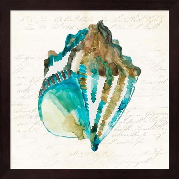 Shell by Aimee Wilson, Framed Wall Art, 13.25W x 13.25H