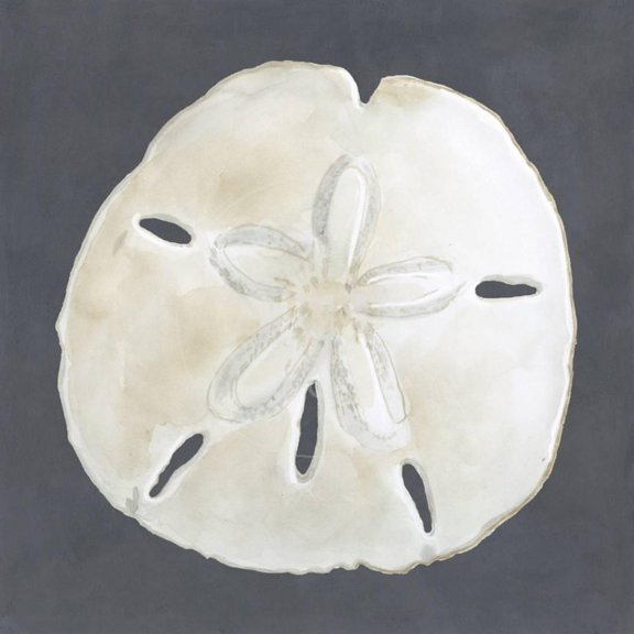 Shell on Slate II, Animals Unframed Art Print Wall Art by Megan Meagher Sold by Art.Com