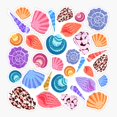 thumbnail image 1 of Shell pattern (large) Sticker, 1 of 4