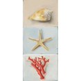 thumbnail image 1 of Shell selection II Poster Print by Milieu du Ciel (24 x 48), 1 of 2