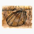 thumbnail image 1 of Shell study Sticker, 1 of 4