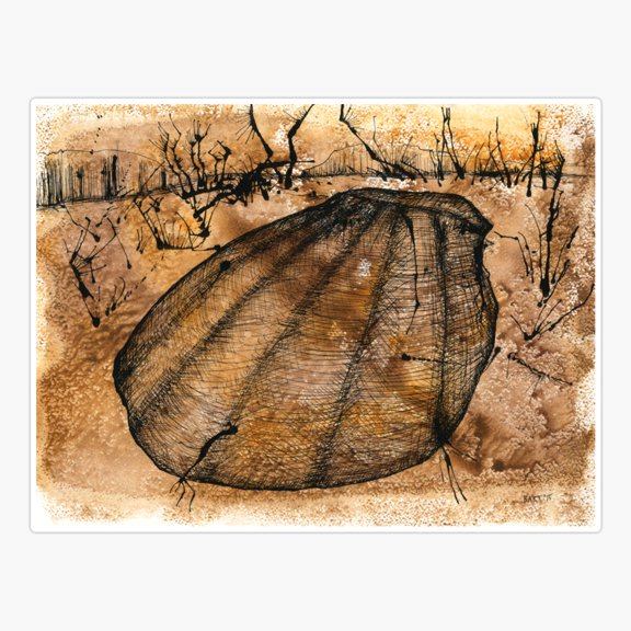 Shell study Sticker