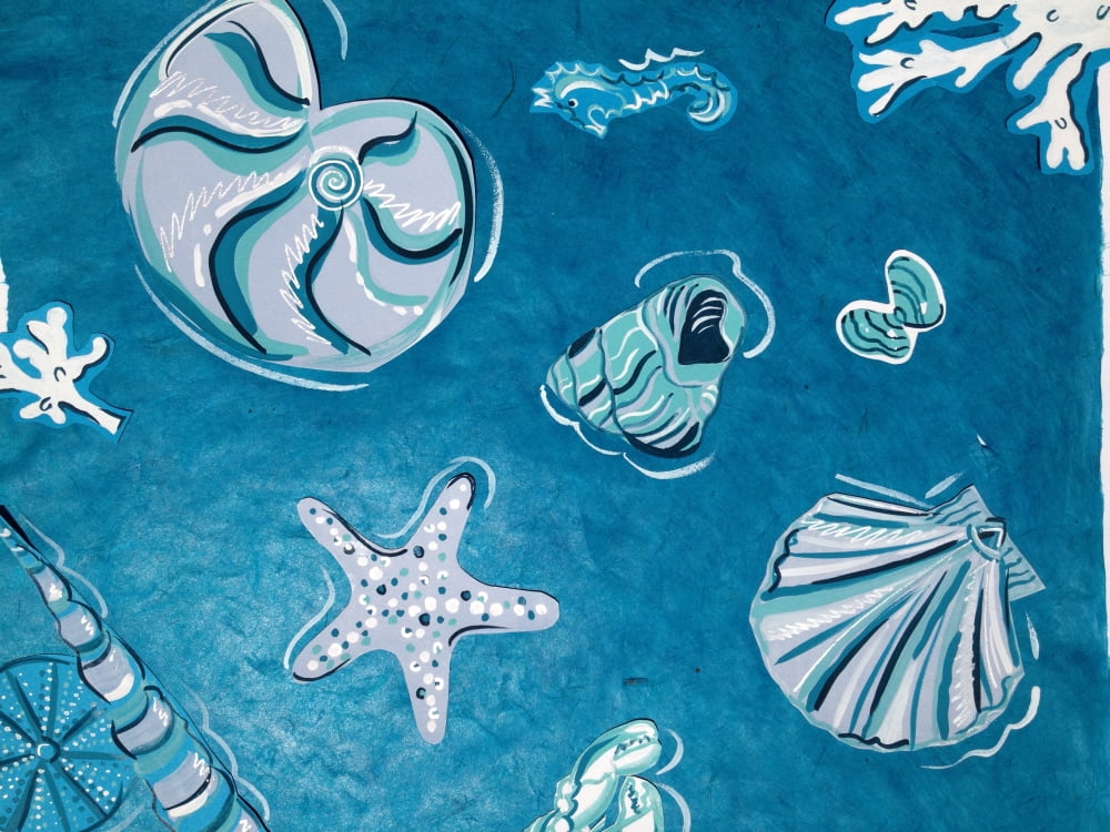 Shells 2 Canvas Art - Sara Henry (21 x 28)