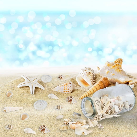 Shells Decoration,150Pcs Mixed Shells,Conch,Natural Shells for Crafts with Hole