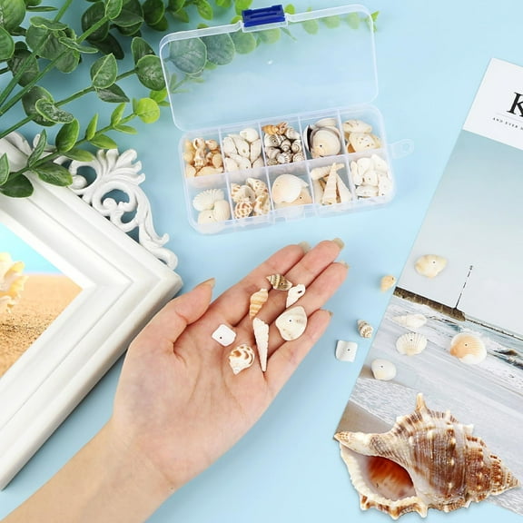 Shells Decoration,150Pcs Mixed Shells,Conch,Natural Shells for Crafts with Hole