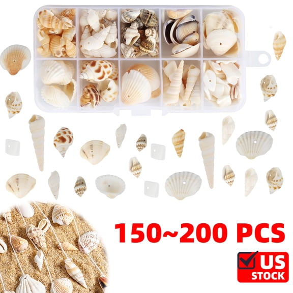 Shells Decoration with Hole, Mixed Shells, Conch, Natural Shells for Crafts for Beach Theme Parties, Wedding Decorations, DIY Shell Chain, Candle Making, Aquarium, Vase Fillers