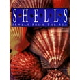 thumbnail image 1 of Pre-Owned Shells: Jewels from the Sea (Hardcover) 1561387665 9781561387663, 1 of 1