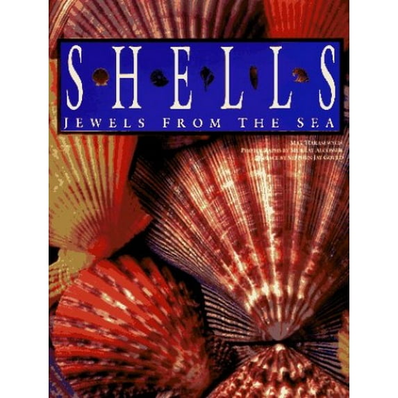 Pre-Owned Shells: Jewels from the Sea (Hardcover) 1561387665 9781561387663