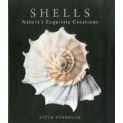Shells : Nature's Exquisite Creations (Hardcover)