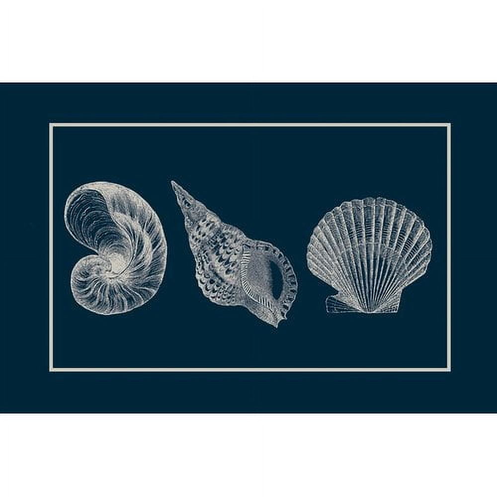 "Shells" Painting Print on Wrapped Canvas