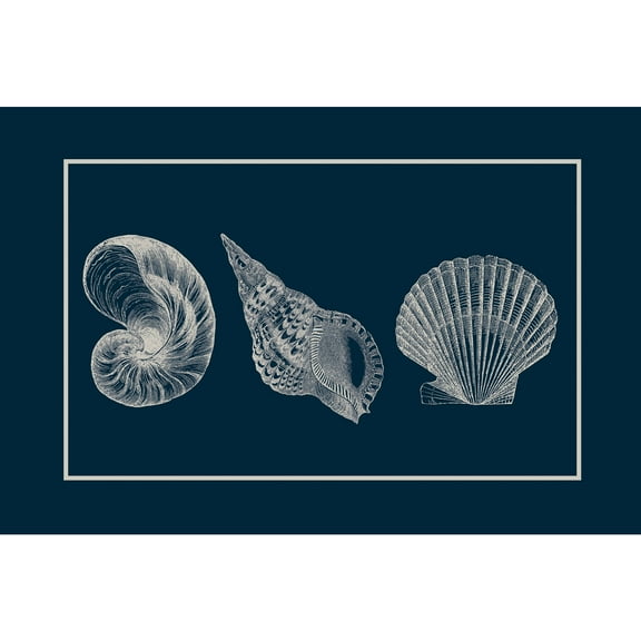 "Shells" Painting Print on Wrapped Canvas