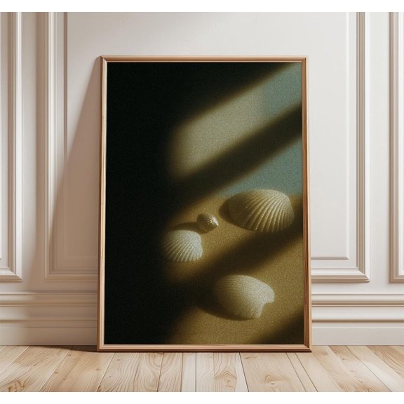 Shells Photography Shadow Poster Unframed Paper Print