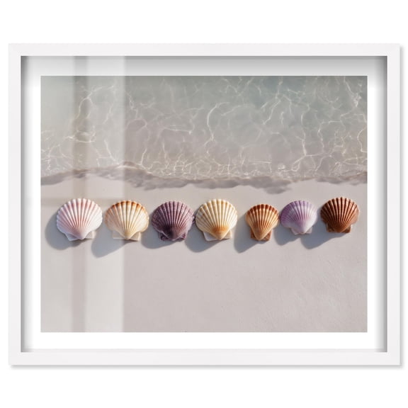 Shells on the Sand Shadowbox Print Travel Photography by Notoriart, White Frame, 21 x 17