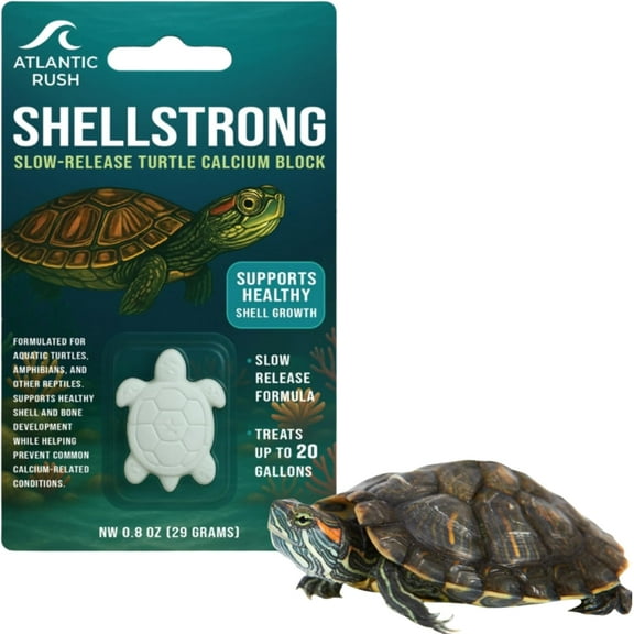 Shellstrong Premium Calcium Block for Aquatic Turtle - Slow Release Water Conditioner - Turtle Calcium Cuttlebone - Turtle Tank Accessories - 20 Gallon Aquatic Reptile Tank Treatment