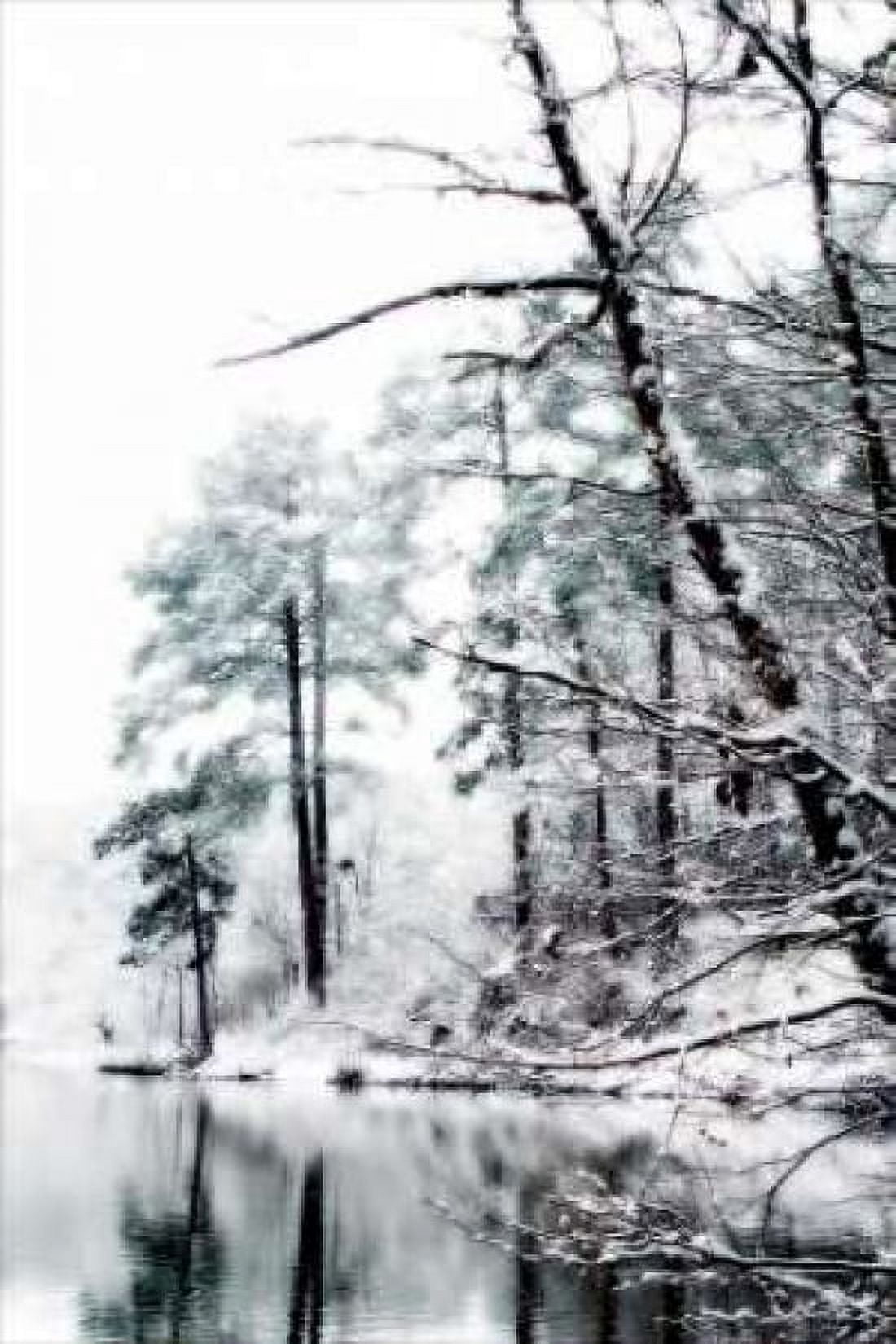 Shelly Lake in Winter I Canvas Art - Alan Hausenflock (12 x 18)