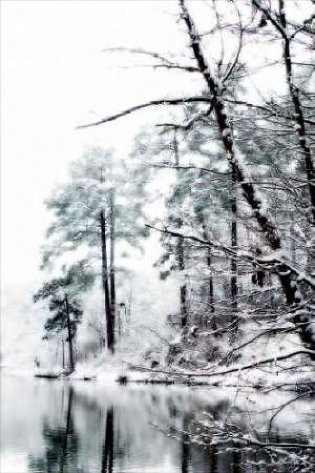Shelly Lake in Winter I Canvas Art - Alan Hausenflock (24 x 36)