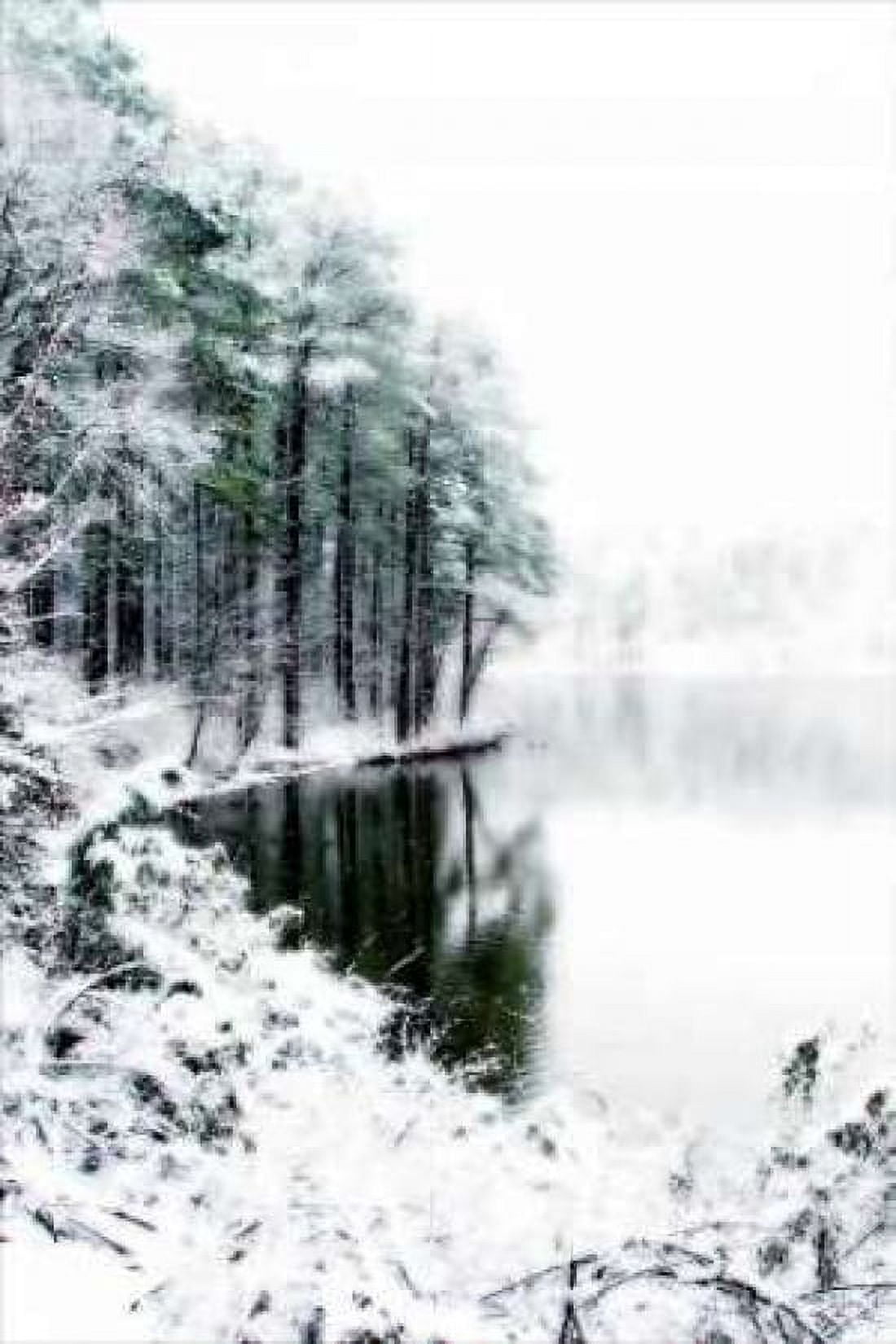 Shelly Lake in Winter II Canvas Art - Alan Hausenflock (12 x 18)