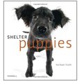 thumbnail image 1 of Pre-Owned Shelter Puppies (Hardcover) 1858945607 9781858945606, 1 of 1