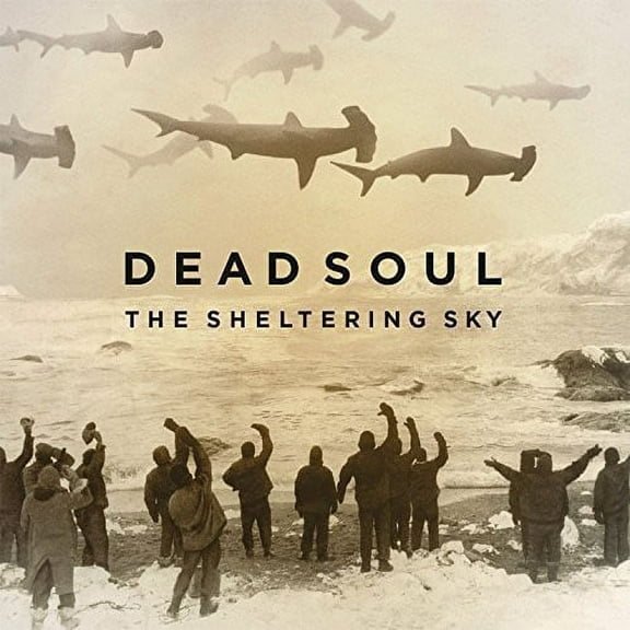 Sheltering Sky (Vinyl)