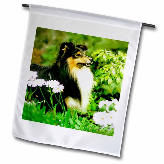 3dRose, Sheltie, 12 x 18 inch Garden Flag