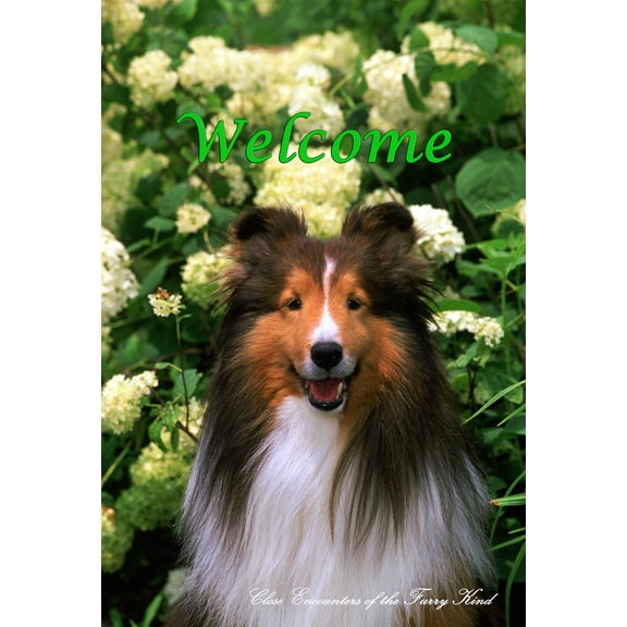 Sheltie - Best of Breed CEFK Welcome Photo House Flag