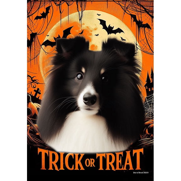 Sheltie Bi Black - Best of Breed Halloween Garden Flag 12" x 17"