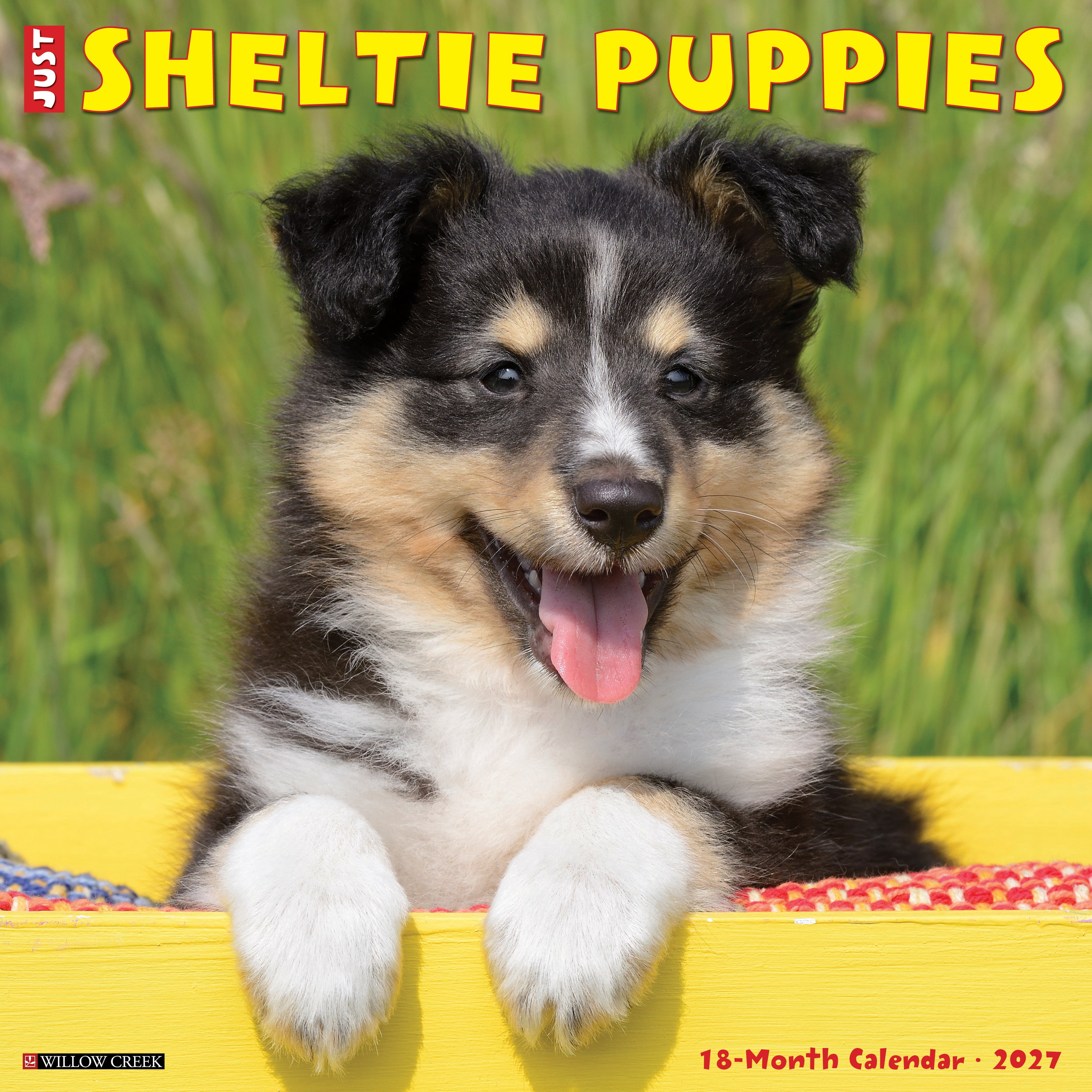 Willow Creek Press, Sheltie Puppies 2027 Wall Calendar