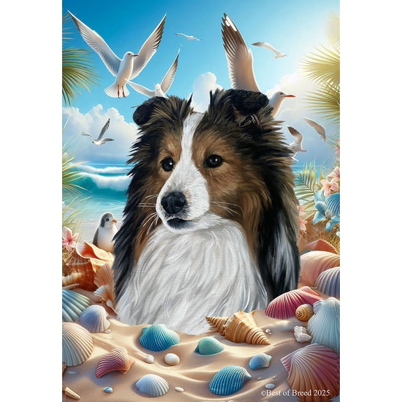 Sheltie Sable - Best of Breed Summer Beach Outdoor Garden Flag 12" x 17" Mailbox Flag Dog Flag