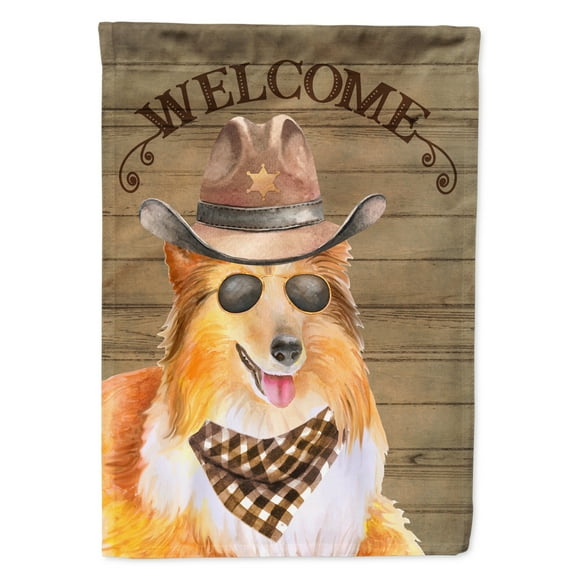 Carolines Treasures CK6359CHF Sheltie Shetland Sheepdog Country Dog Flag Canvas House Size Large multicolor