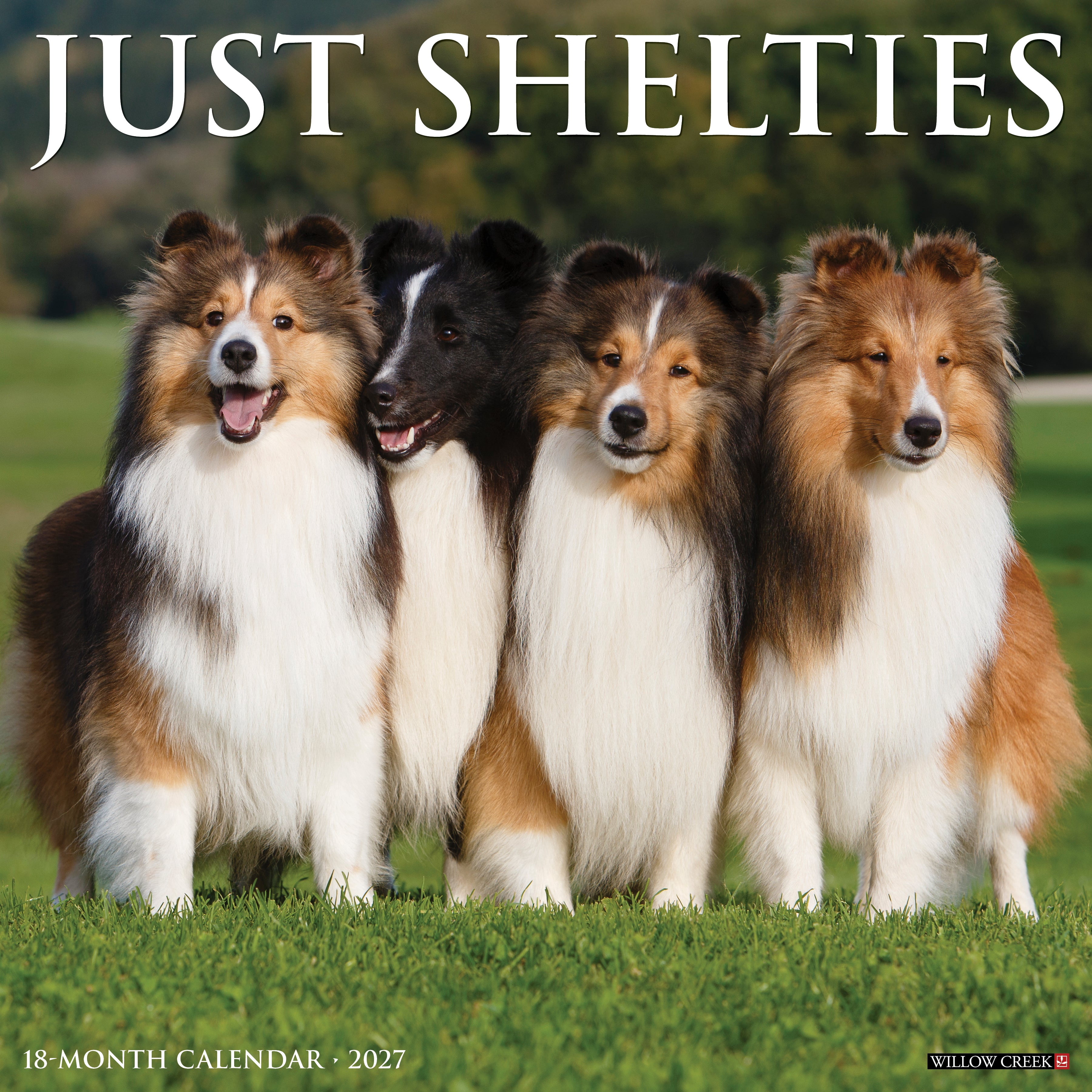 Willow Creek Press, Shelties 2027 Wall Calendar