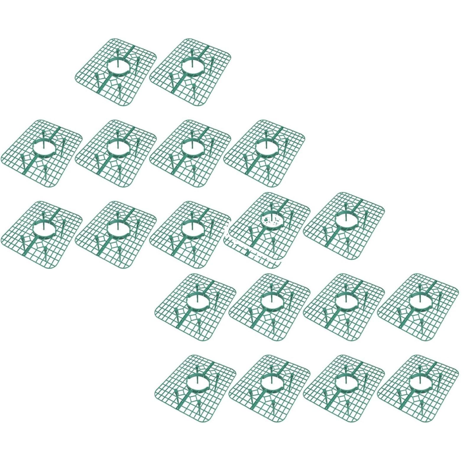 Shelves Strawberry Plant Support Strawberry Stand Keeping Strawberry