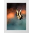thumbnail image 1 of Shen, Yanyu 14x18 White Modern Wood Framed Museum Art Print Titled - Flying Butterfly, 1 of 4