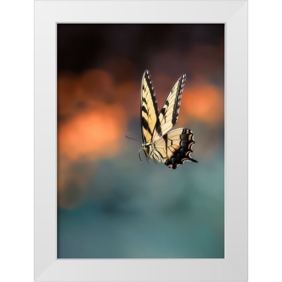 Shen, Yanyu 14x18 White Modern Wood Framed Museum Art Print Titled - Flying Butterfly