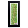 thumbnail image 1 of Shenandoah National Park 3D Raised Relief Map, 1 of 9