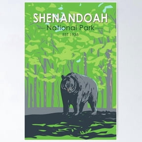 Shenandoah National Park Black Bear Vintage Poster Home Decor Office Wall Art Home Decor Office Wall Art