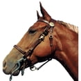 thumbnail image 1 of Shenandoah Western Tack 159010B Trail Bridle Combo Halter, Black - Full, 1 of 1