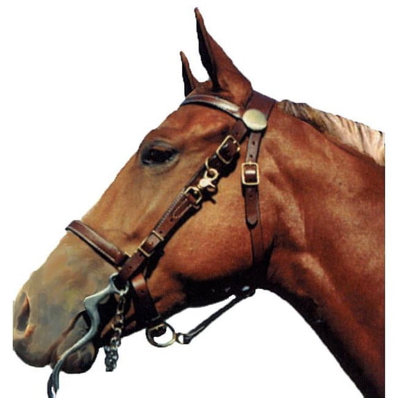 Shenandoah Western Tack 159010B Trail Bridle Combo Halter, Black - Full