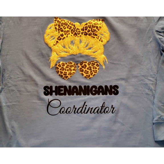 Shenanigans Crew with their Coordinator
