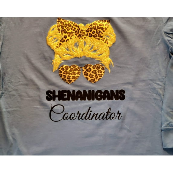 Shenanigans Crew with their Coordinator