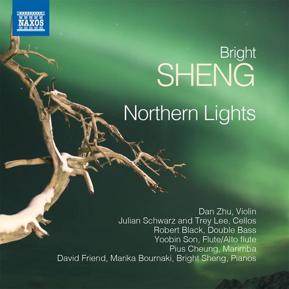 Sheng / Zhu / Bournaki - Bright Sheng: Rthern Lights - Music & Performance - CD