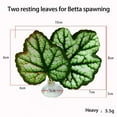 thumbnail image 1 of ShengShi 1Pcs Simulation Ornamental Leaf Betta Fish Rest Spawning Leaf Betta Fish Bed Hammock for Fish Tank Aquarium Decorations, 1 of 6
