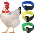 thumbnail image 1 of Shenmeida 6Pcs Upgrade Anti Crow Rooster Collar, Chicken Neckband Noise Free, No Crow Rooster Collar ,Anti Noise Nylon Neck Belt to Keep Roosters Quiet, 1 of 7