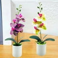 thumbnail image 1 of Shenmeida Artificial Orchid with Vase Flowers for Kitchen Table Centerpieces, Large Vivid Orchid Phalaenopsis Orchid Plant Faux Orchids Flowers Indoor Room Decoration, 1 of 7