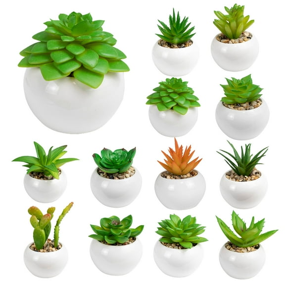Shenmeida Artificial Succulent Plants in Pots Fake Small Greenery Potted Succulent Plants for Shelf Bathroom Office Desk Table Centerpiece Kitchen Window Sill Decor